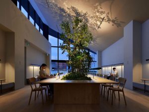 bdc18259a26fef23ed3129475a8a35b5